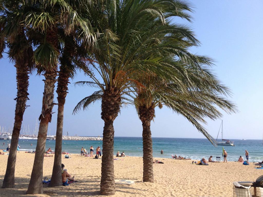 Vila Mas Provencal Le Lavandou Exteriér fotografie